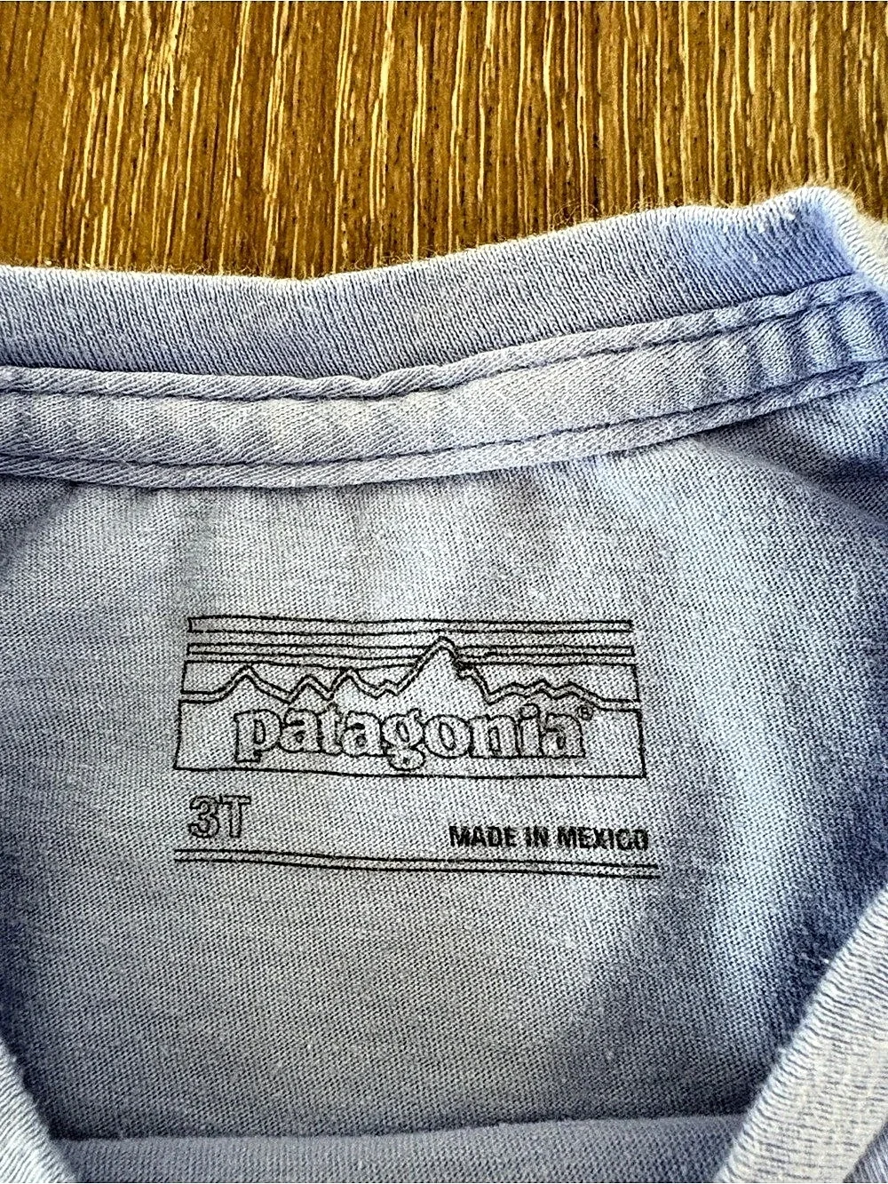 Patagonia Honolulu executive Seal Graphic Tee in Blue Sz: 3| Hawaii